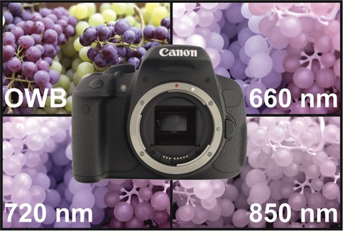 Canon eos fotocamera spettro - canon, a
