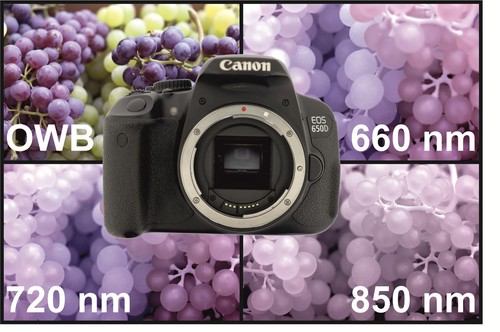 Canon eos 650d fotocamera - canon,